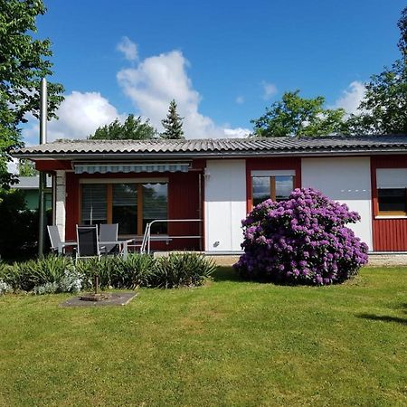 Feriendomizil Am Zeulenrodaer Meer Zadelsdorf المظهر الخارجي الصورة